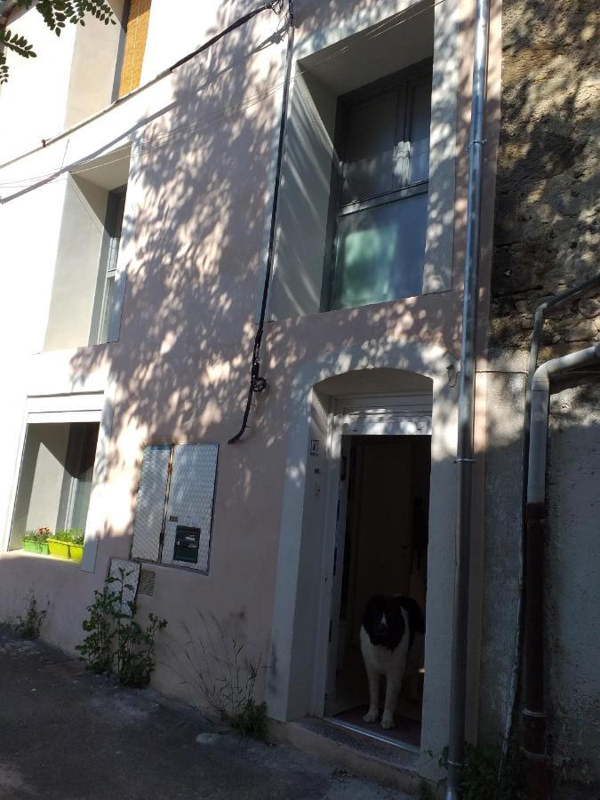 شقة La Maison D Annick Lodève المظهر الخارجي الصورة